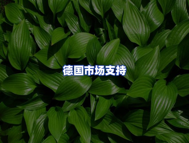 专业团队